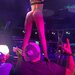 Escorte Olanda 21+